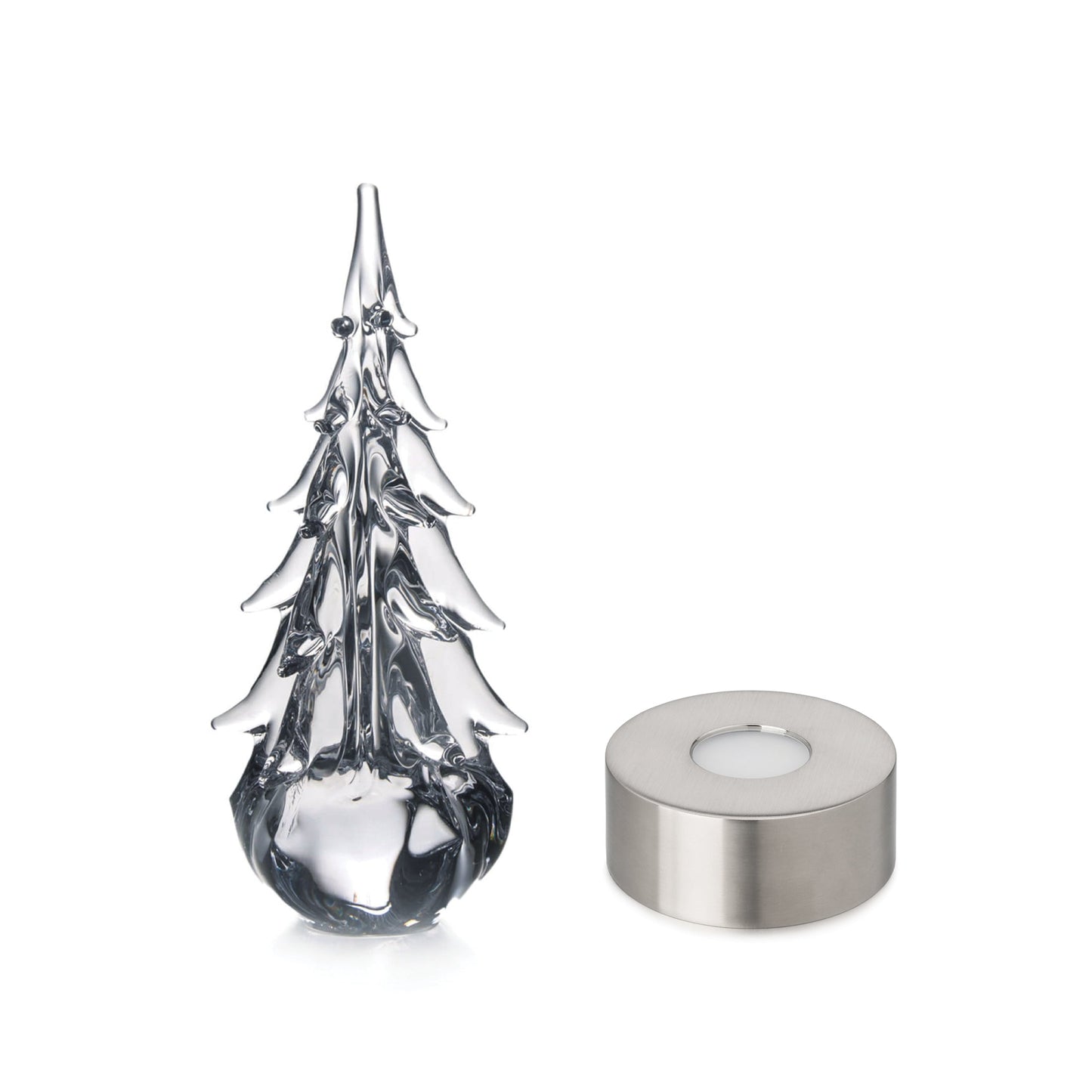 Five Sided Evergreen in Gift Box