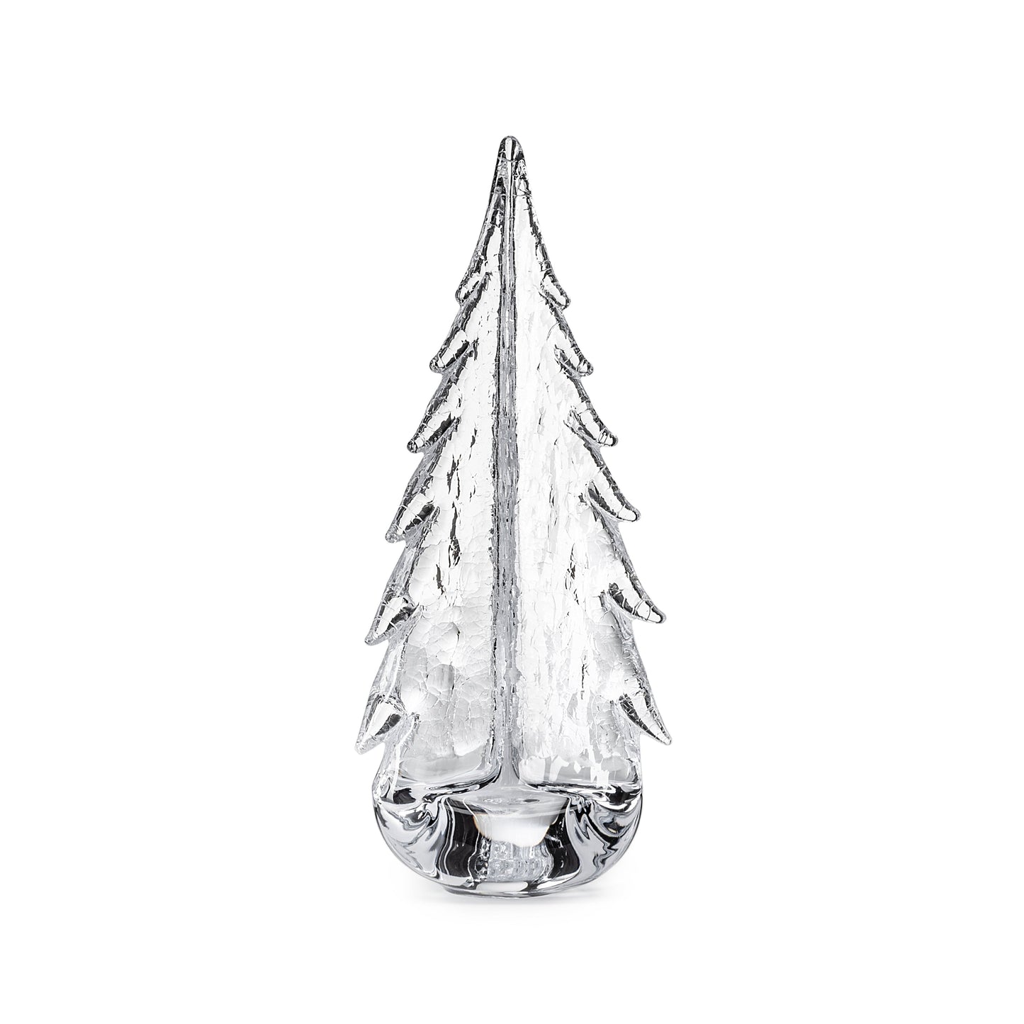Crackle Evergreen in Gift Box
