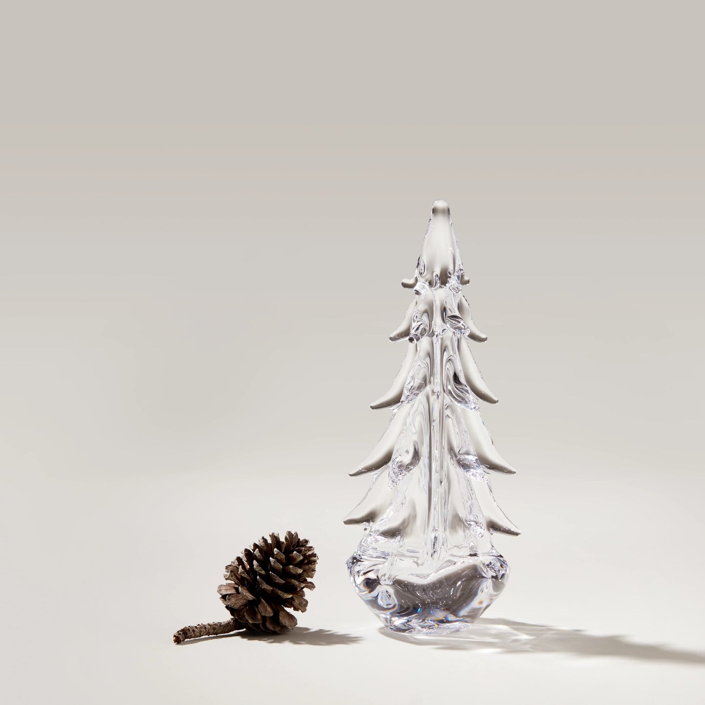 Five Sided Evergreen in Gift Box