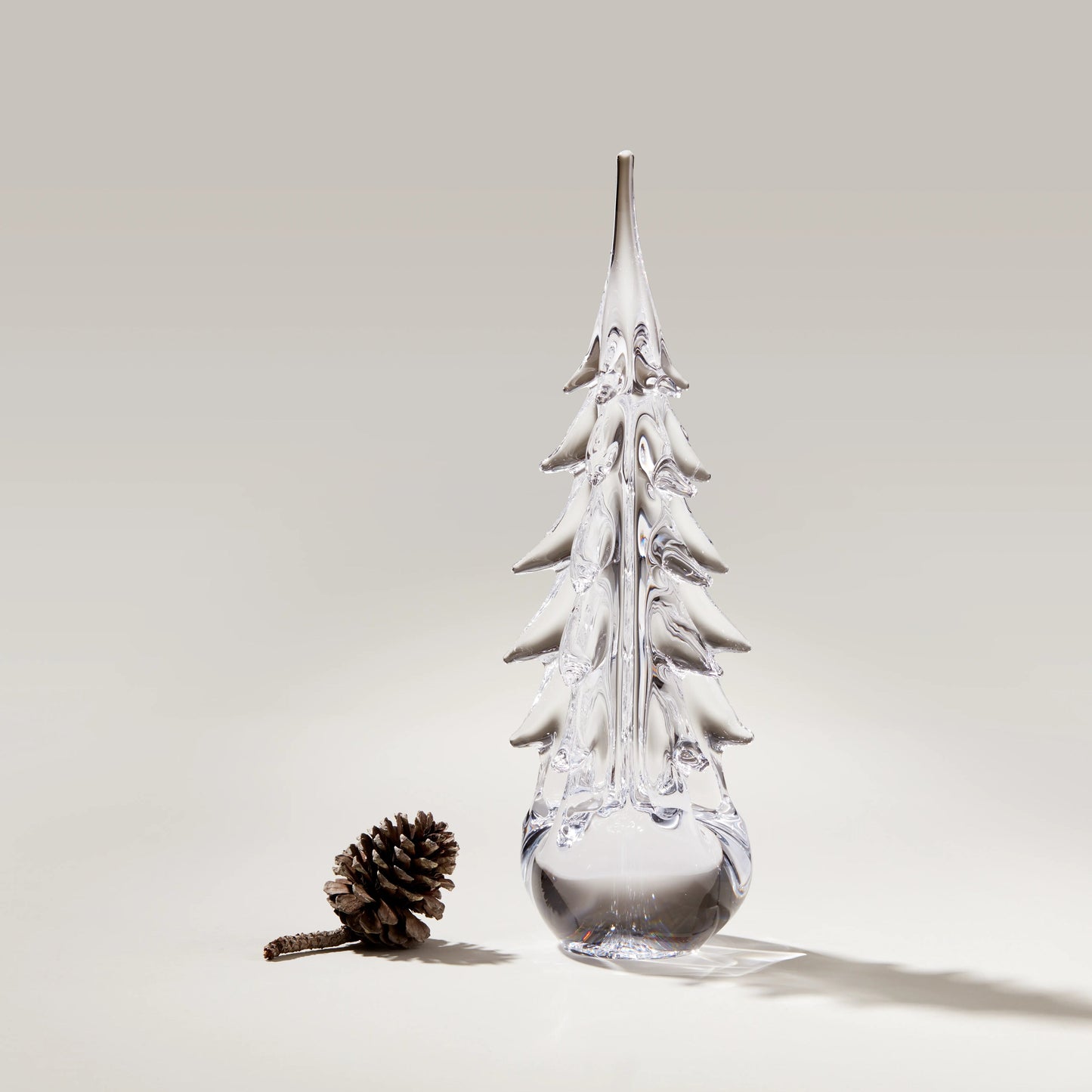 Five Sided Evergreen in Gift Box