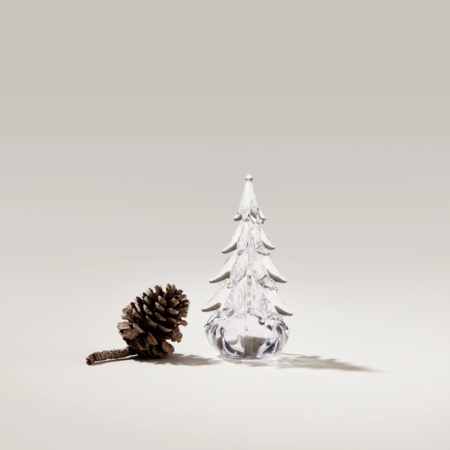 Five Sided Evergreen in Gift Box