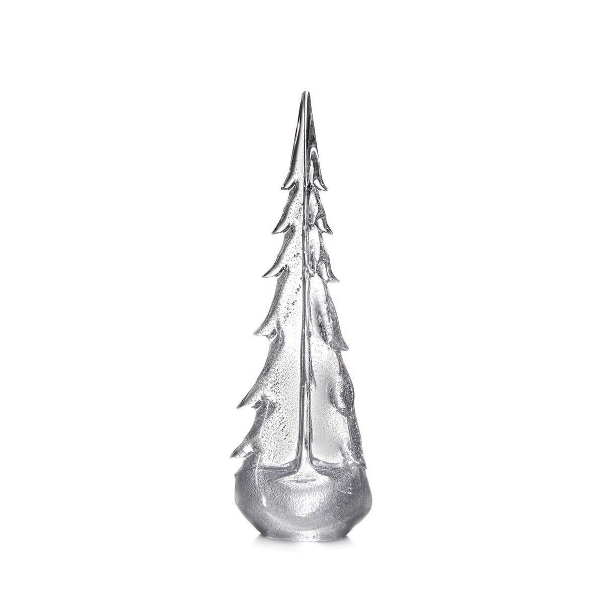 Silver Leaf Evergreen