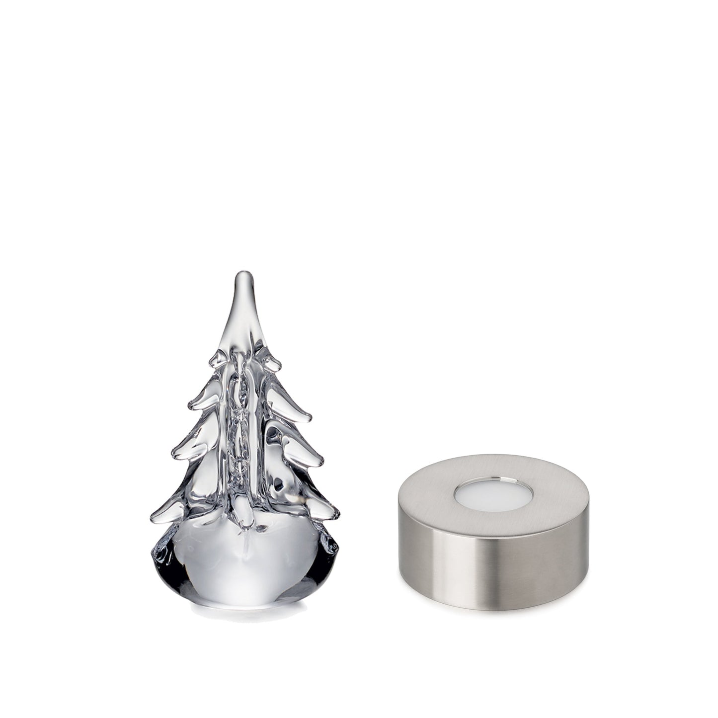 Five Sided Evergreen in Gift Box