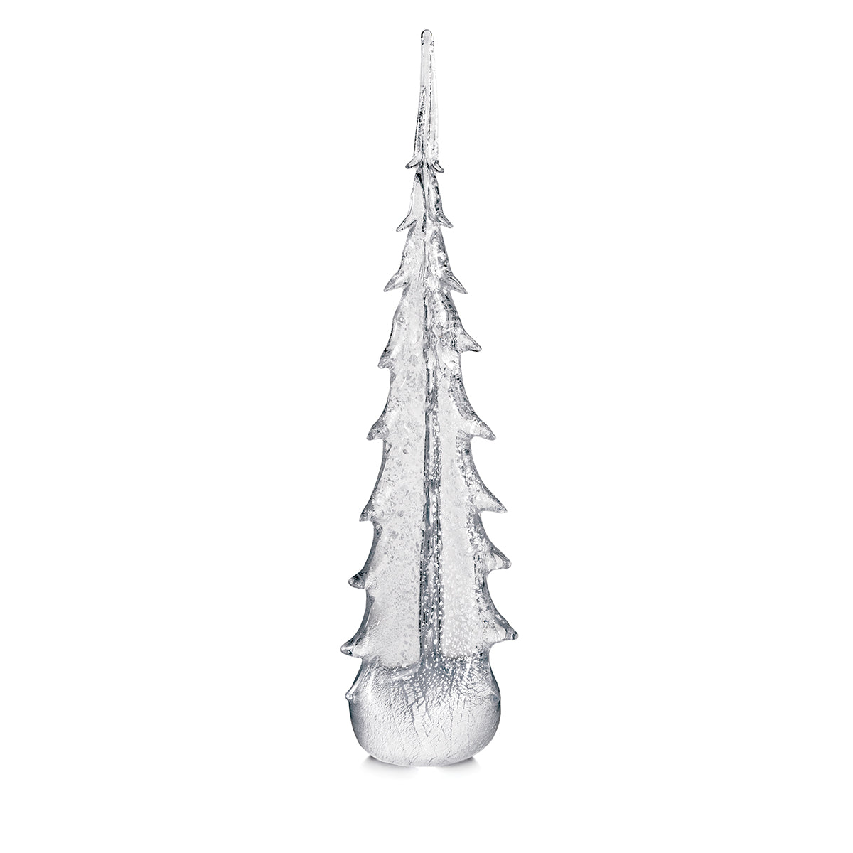 Silver Leaf Evergreen