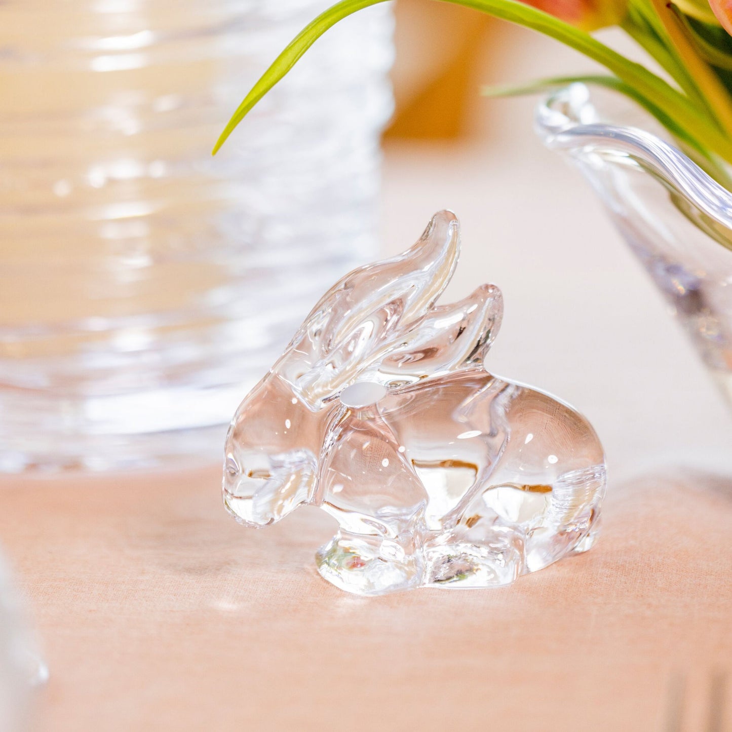 Rabbit