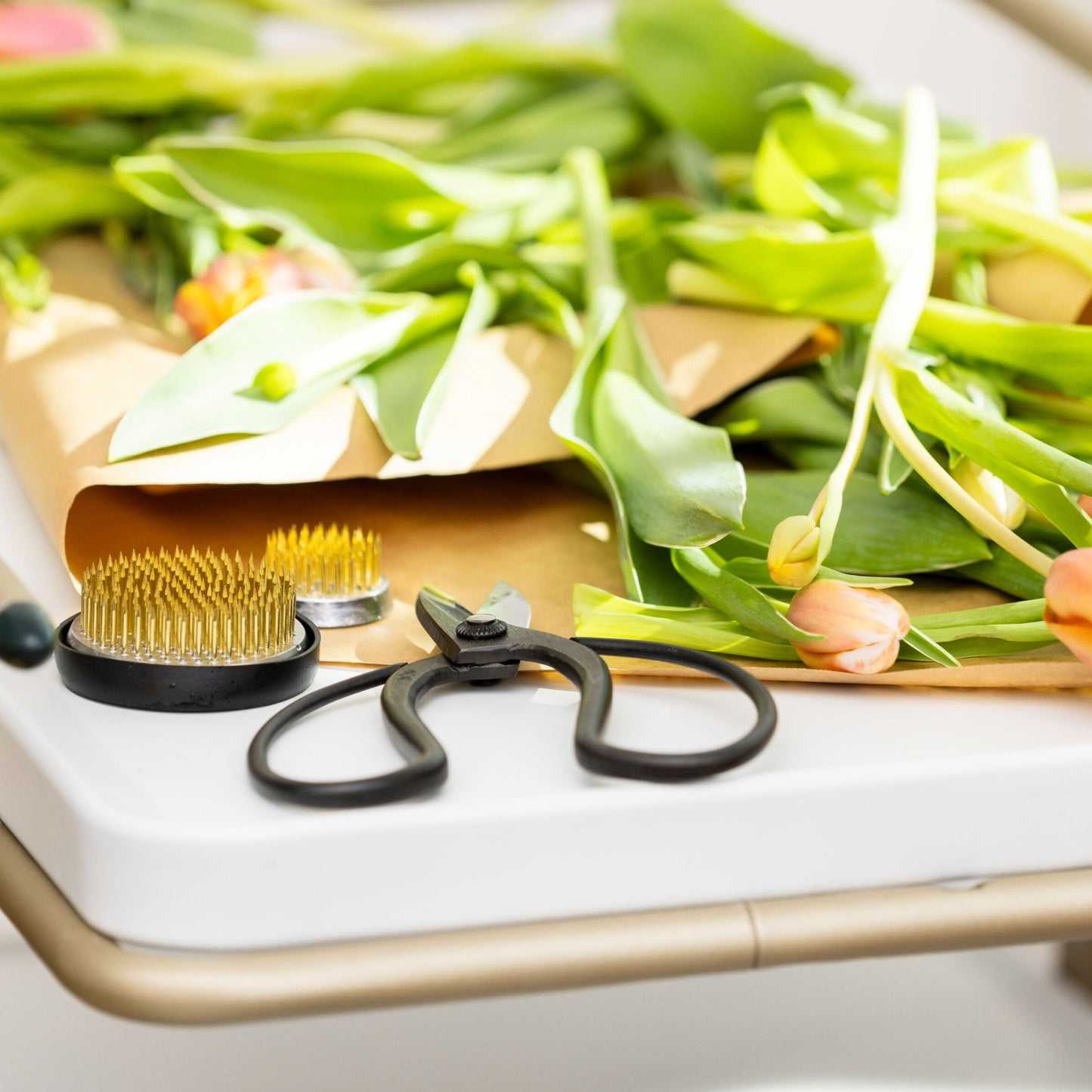 Niwaki Sentei Garden Scissors
