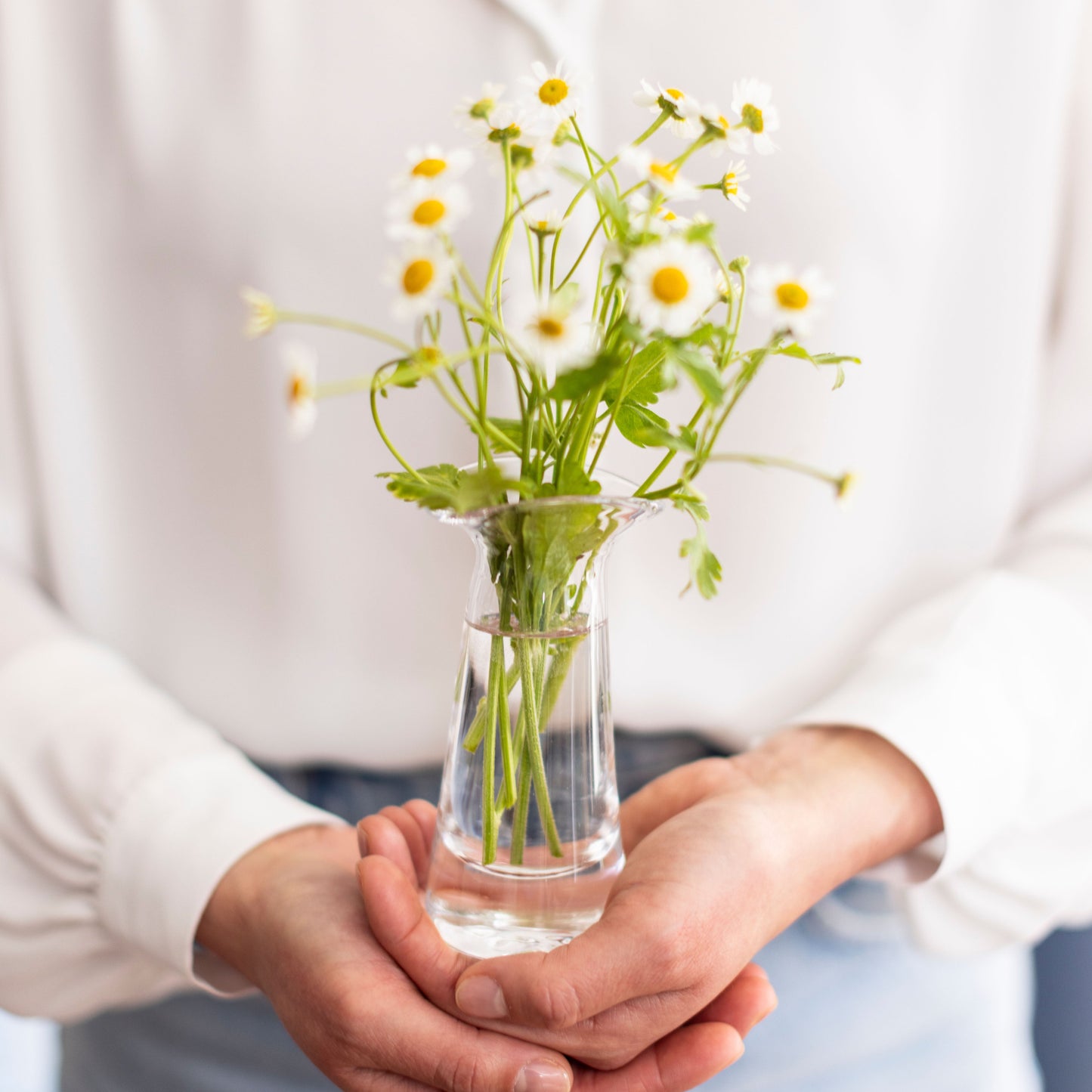 Barre Bud Vase in Gift Box