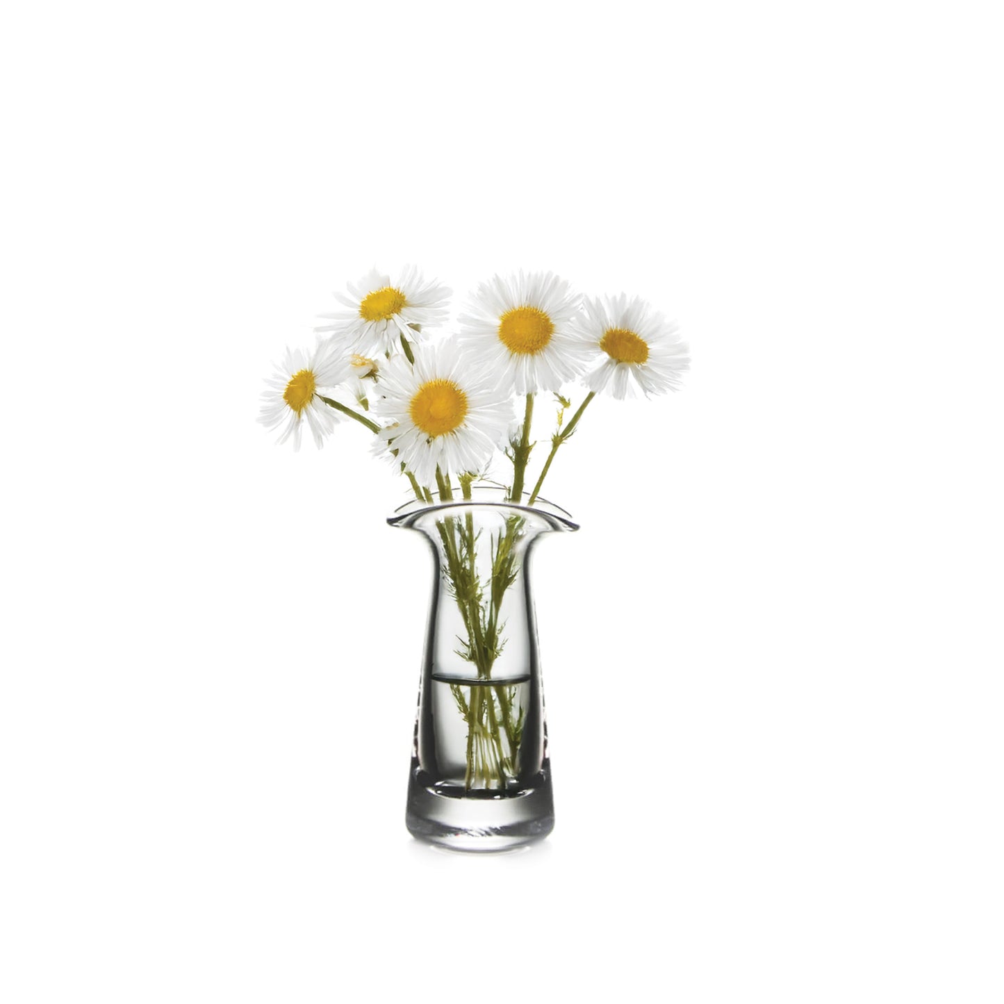 Barre Bud Vase in Gift Box