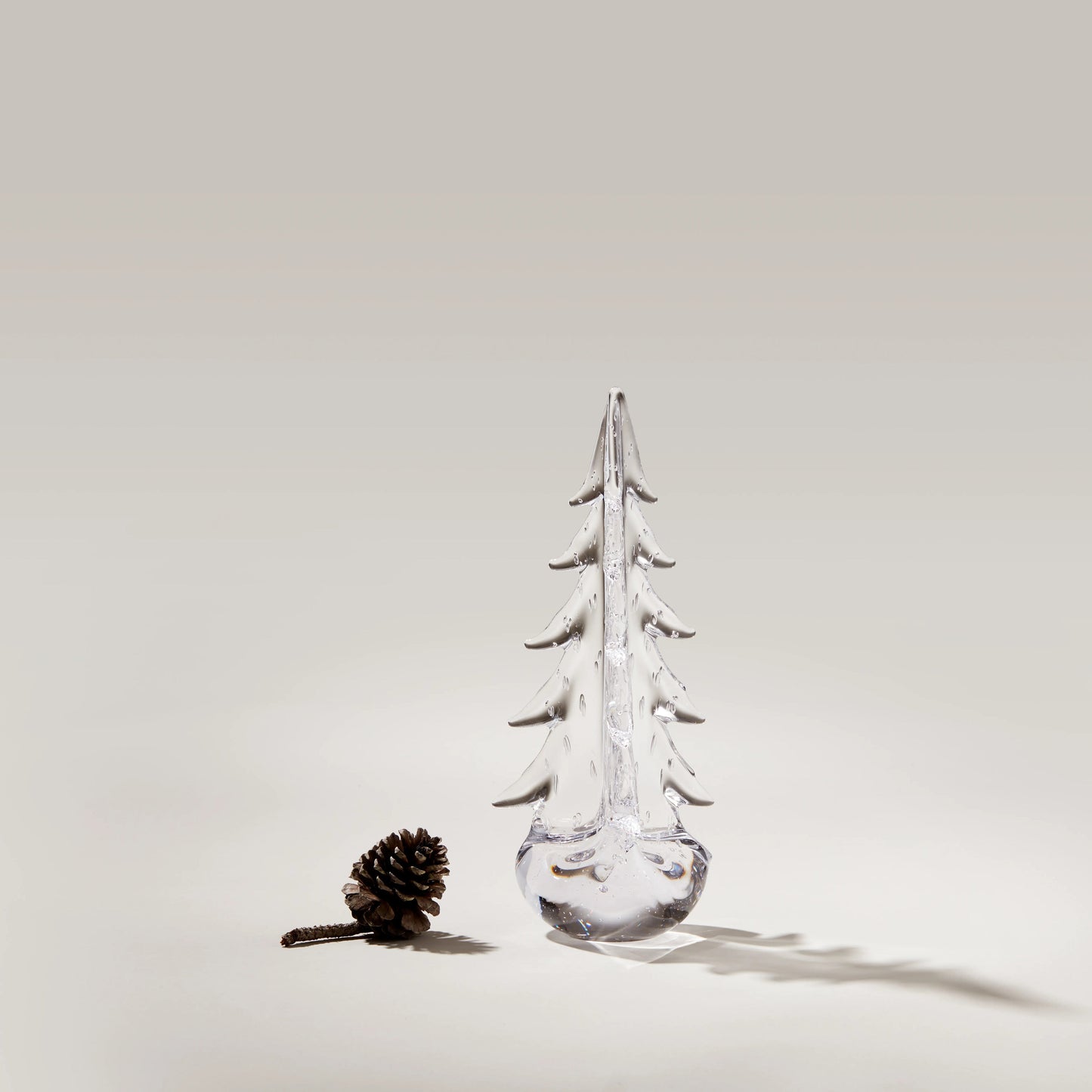Bubble Evergreen