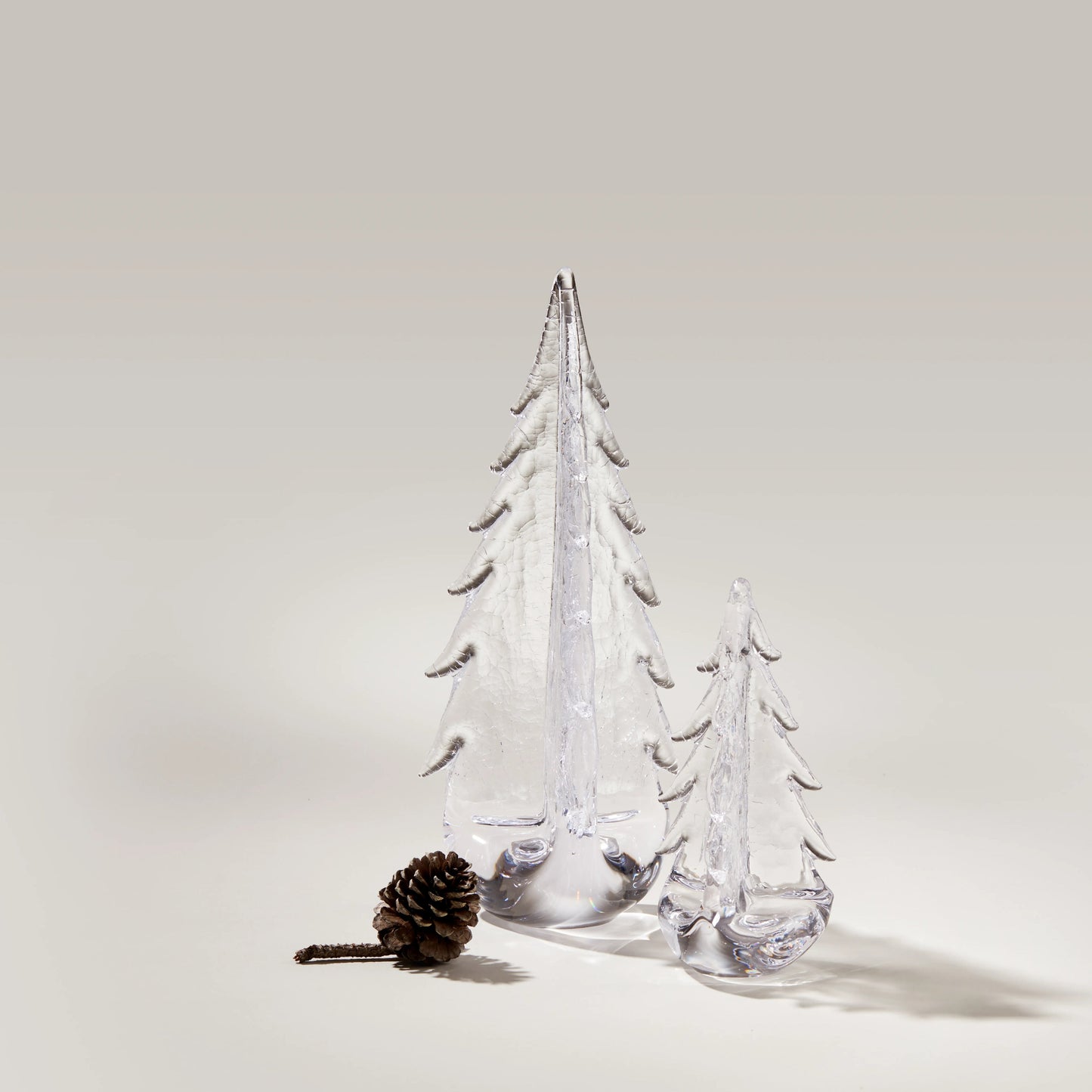 Crackle Evergreen in Gift Box
