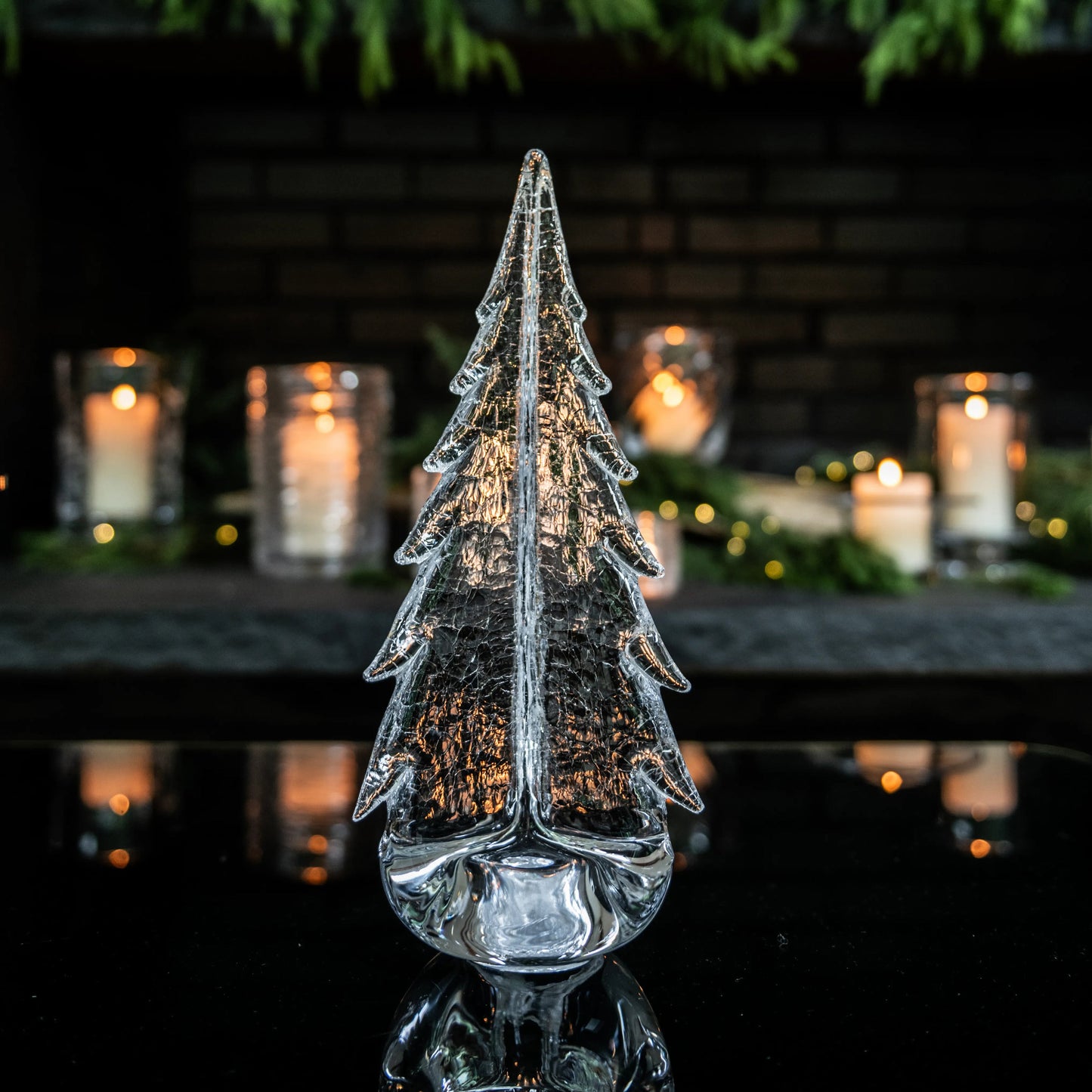 Crackle Evergreen in Gift Box