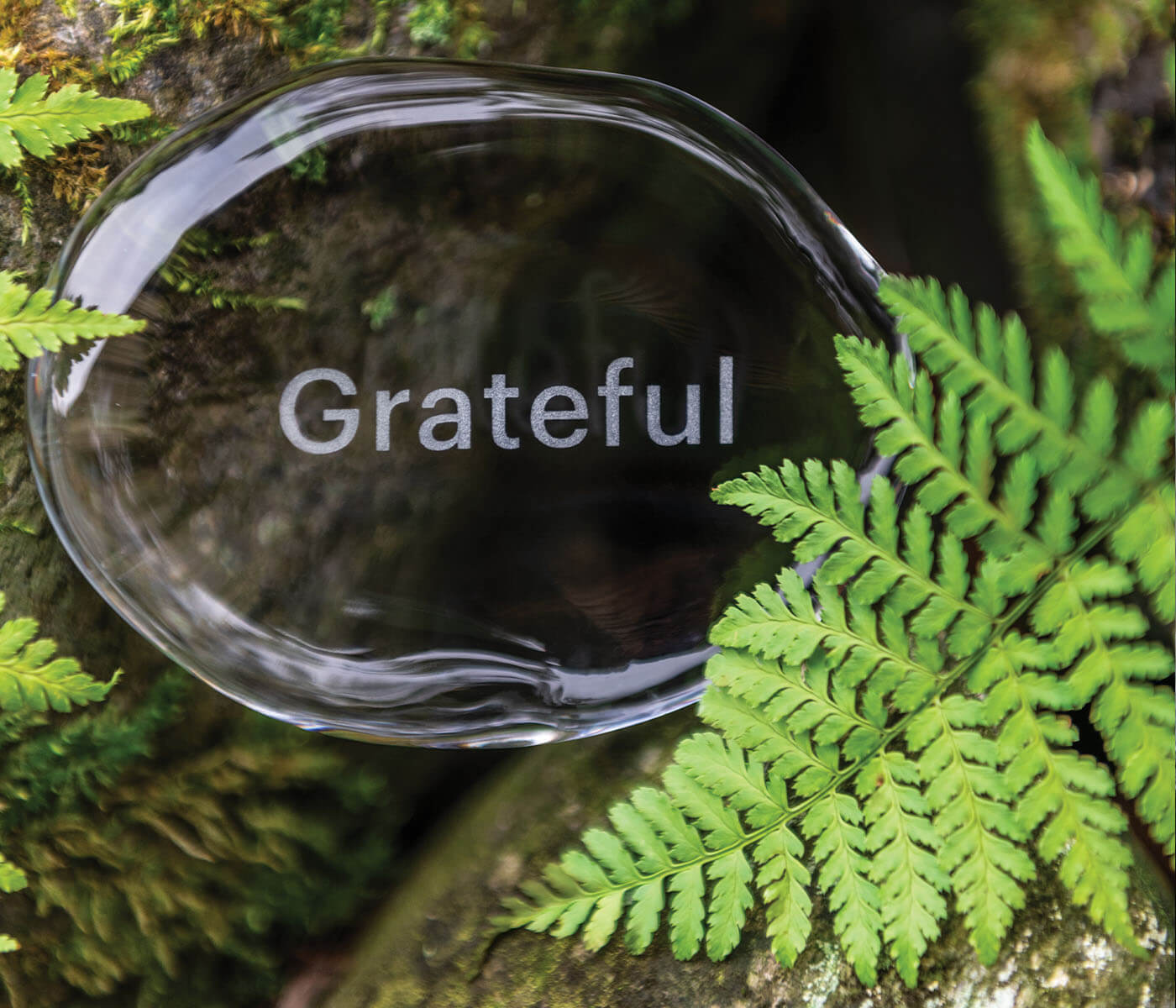LoveYourBrain Intention Stone — GRATEFUL