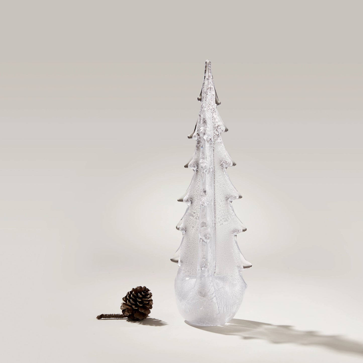Silver Leaf Evergreen