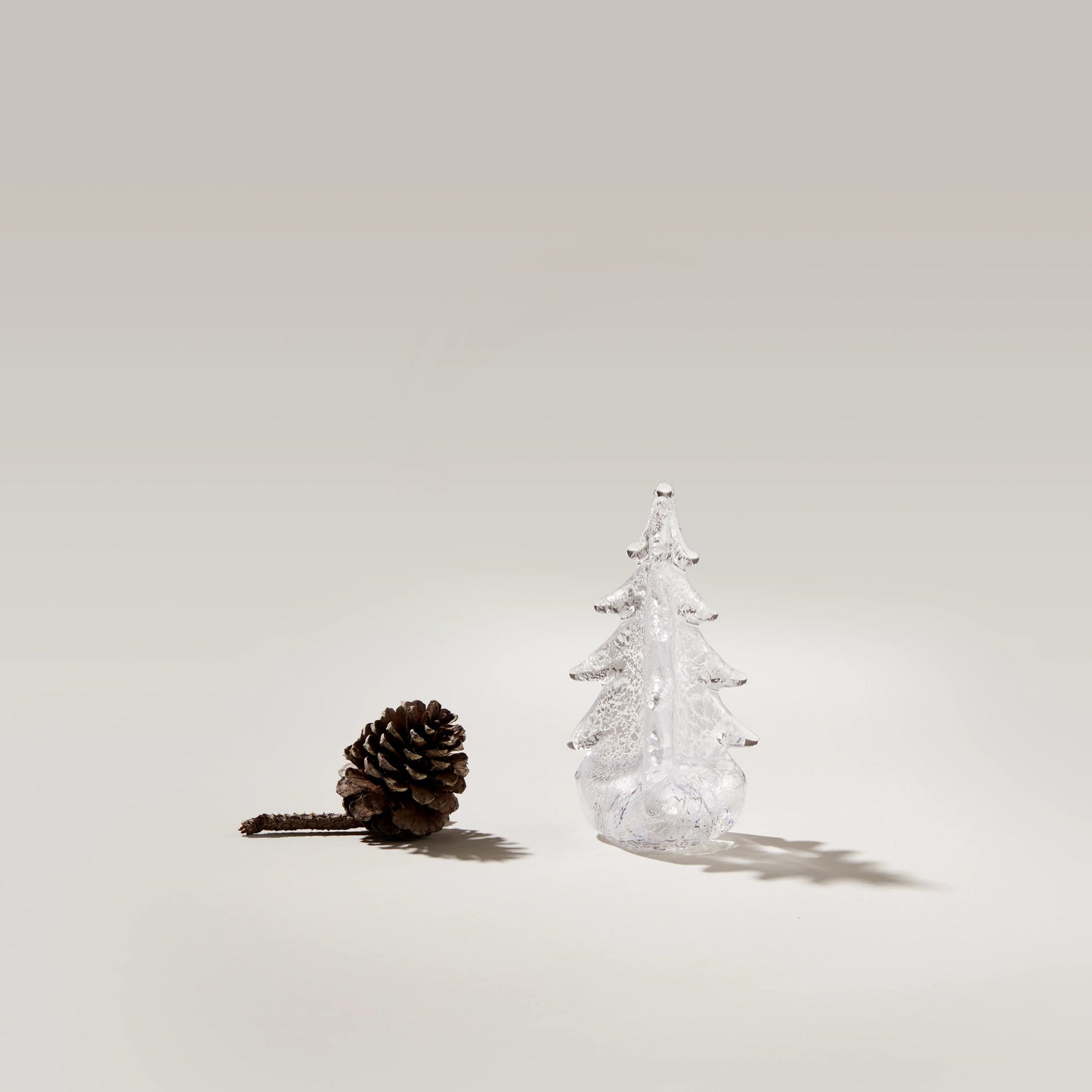 Silver Leaf Evergreen