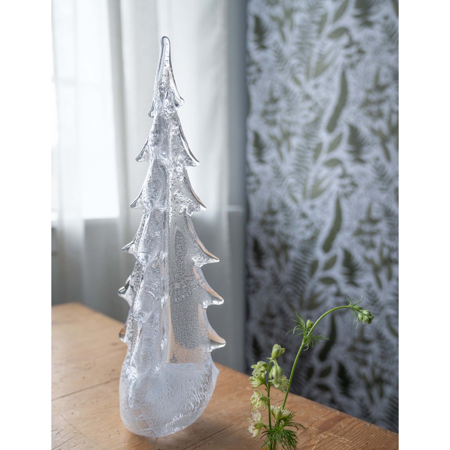 Silver Leaf Evergreen