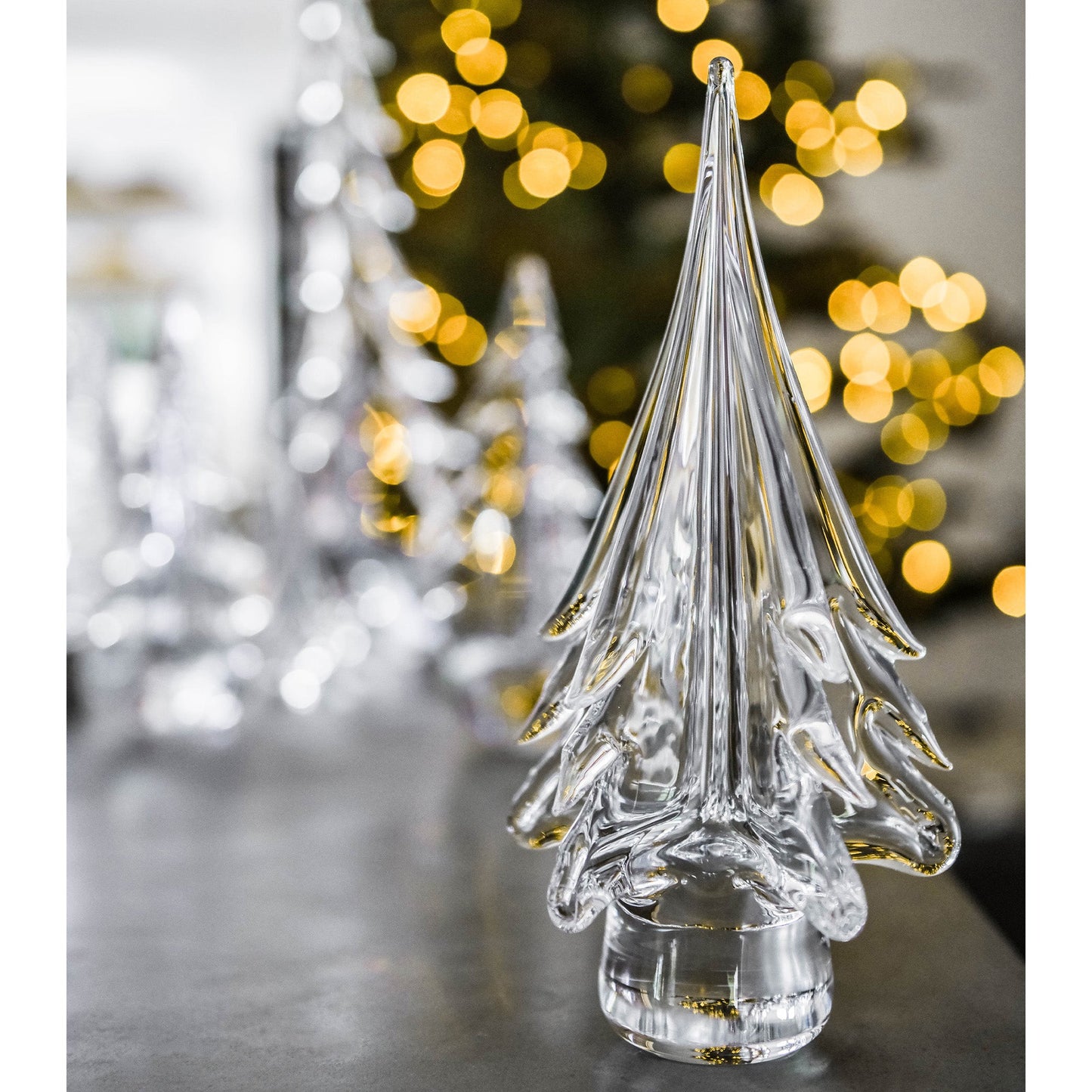 Spruce Evergreen