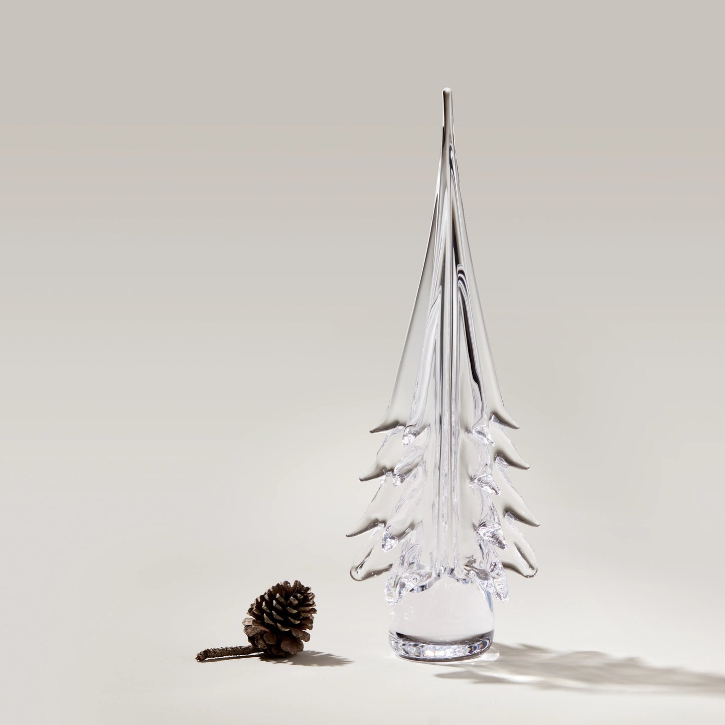 Spruce Evergreen
