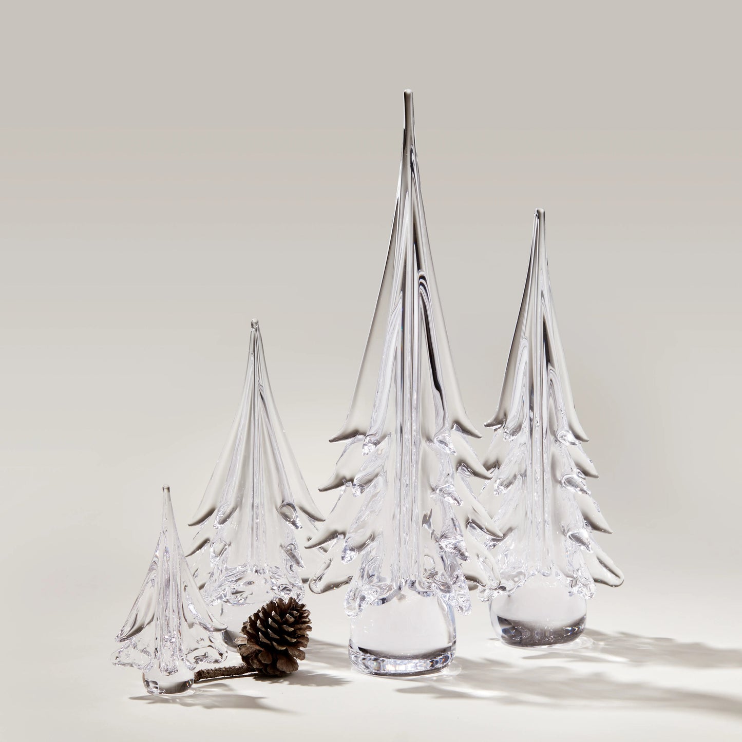 Spruce Evergreen