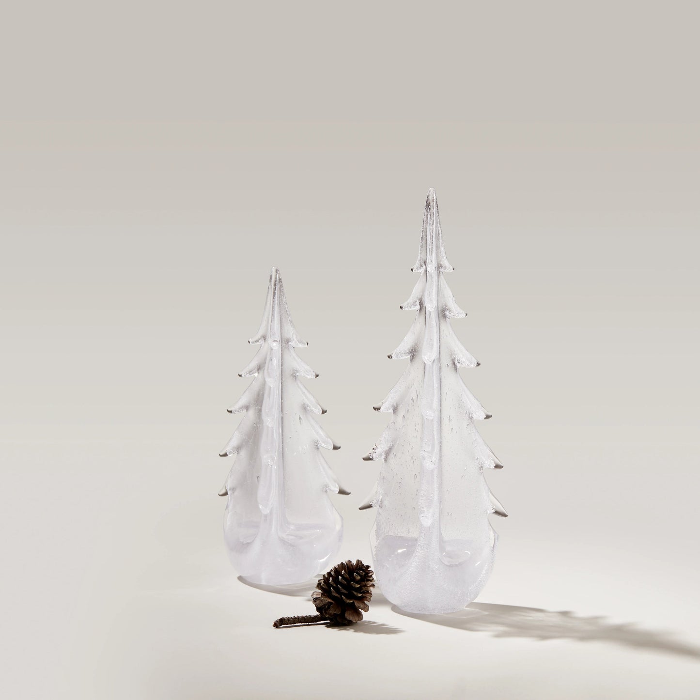 Vela Evergreen in Gift Box