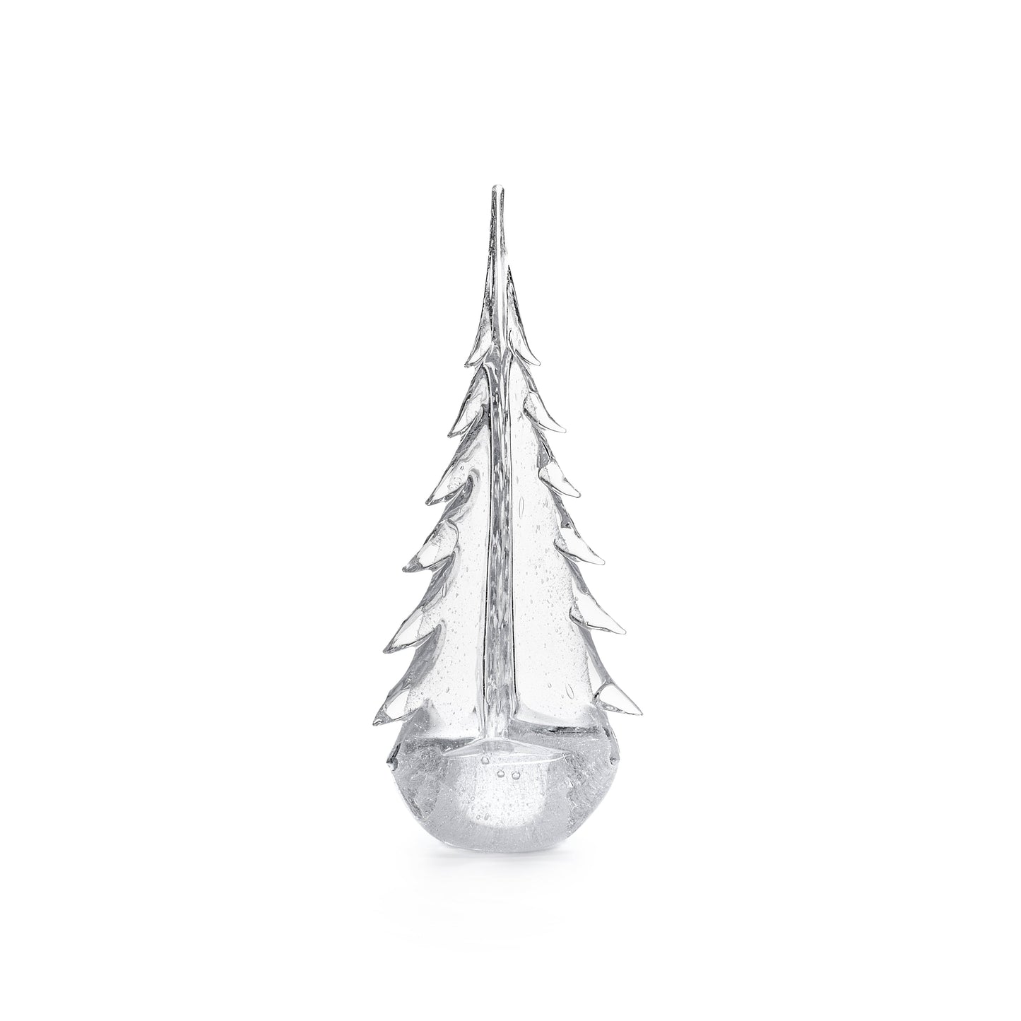 Vela Evergreen in Gift Box
