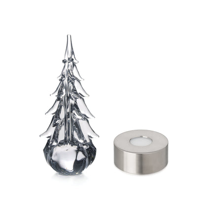 Five Sided Evergreen in Gift Box