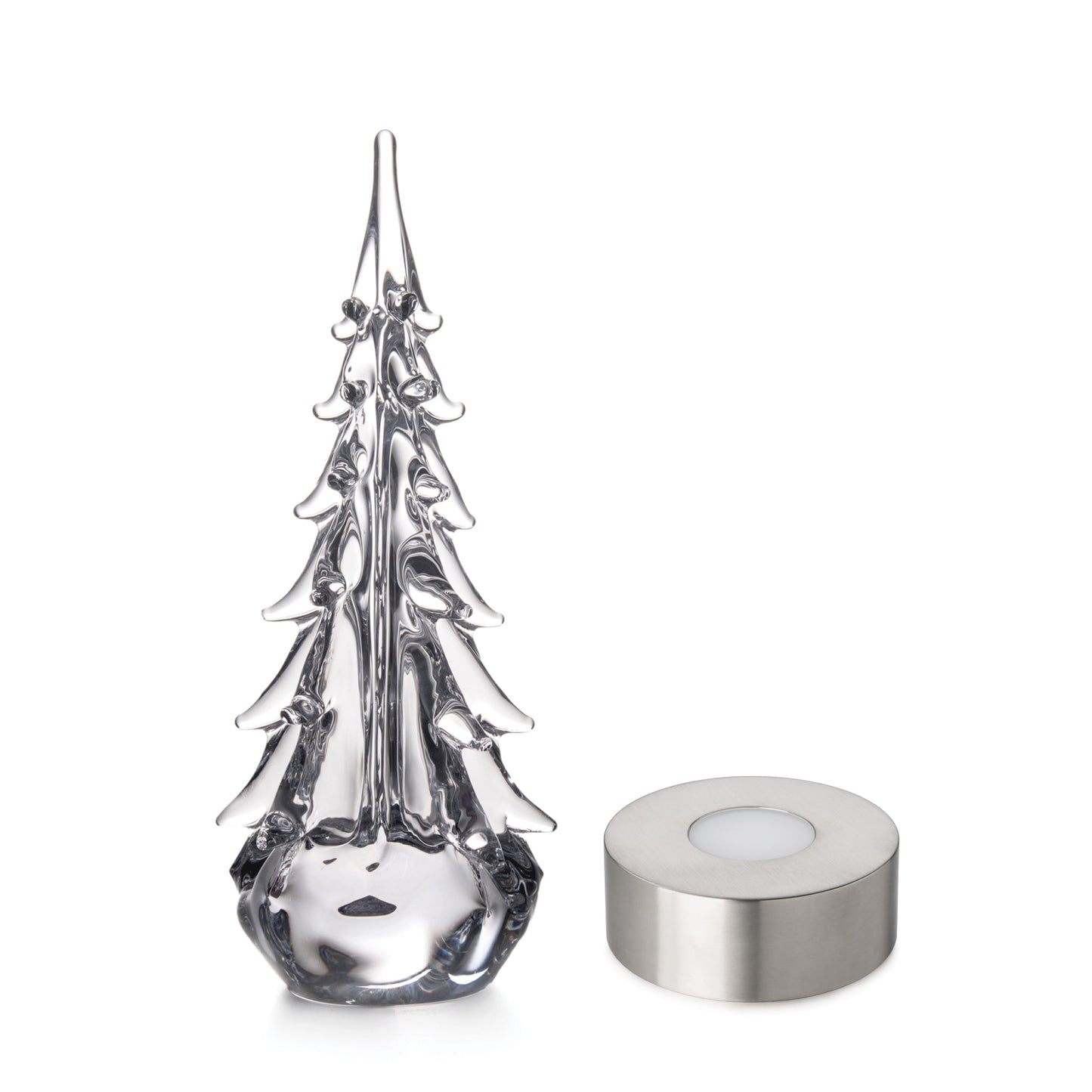 Five Sided Evergreen in Gift Box
