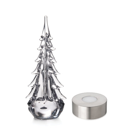 Five Sided Evergreen in Gift Box