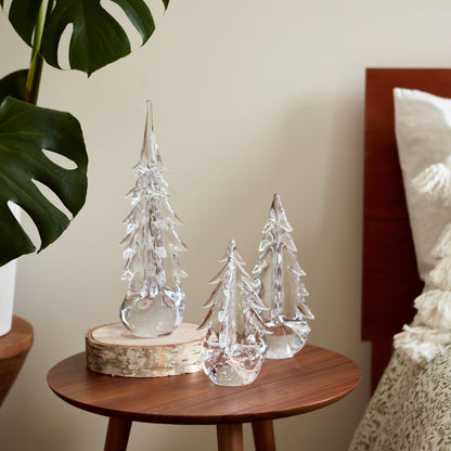 Five Sided Evergreen in Gift Box