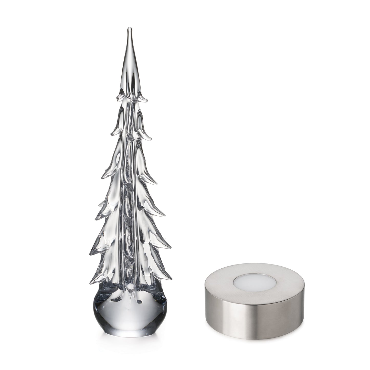 Five Sided Evergreen in Gift Box