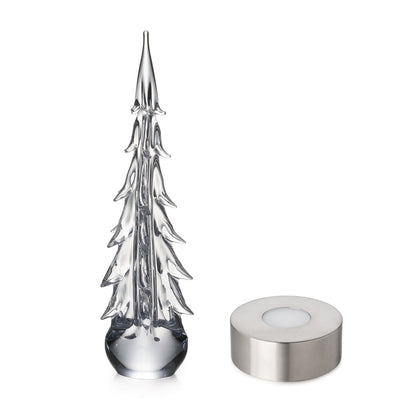 Five Sided Evergreen in Gift Box