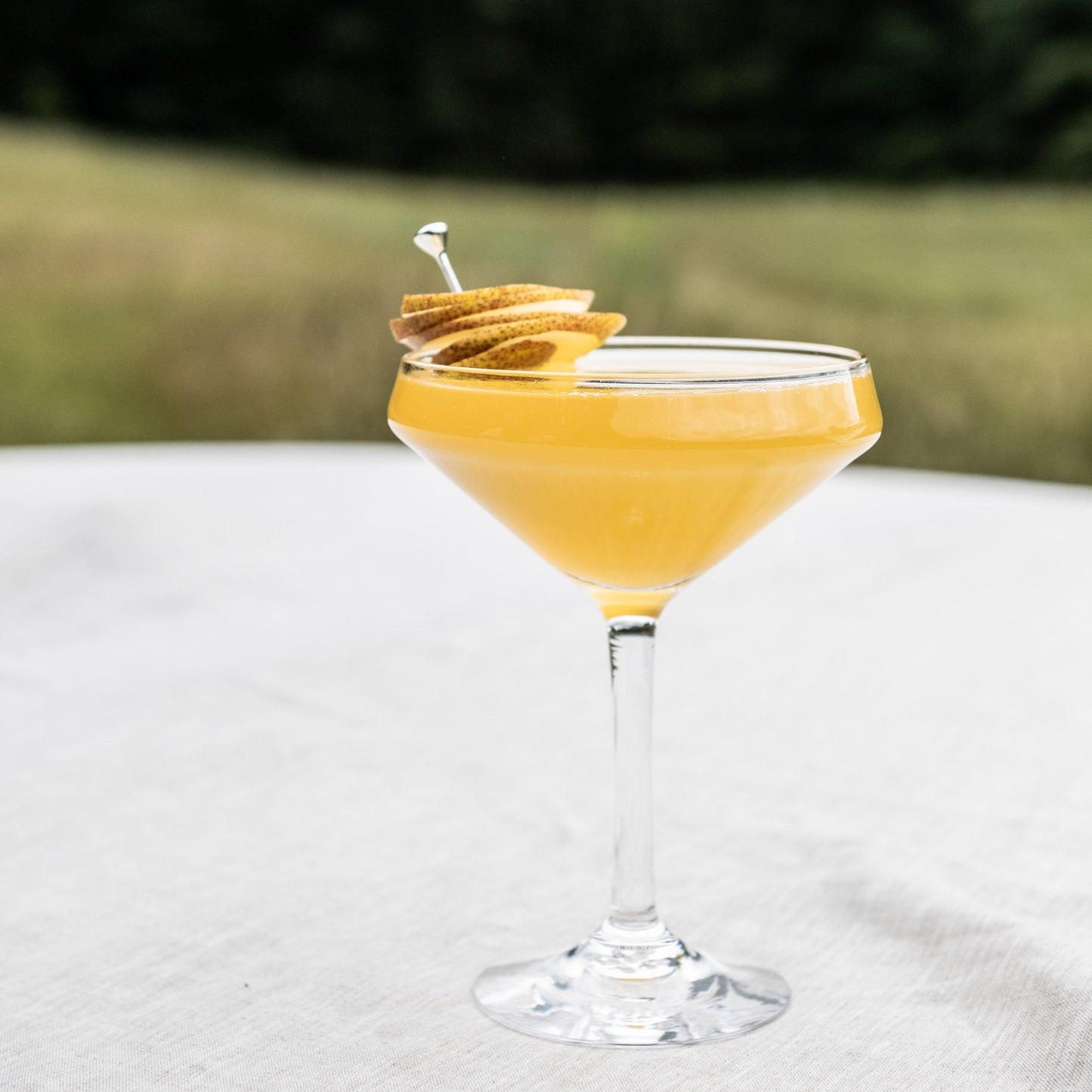 Vintner Coupe