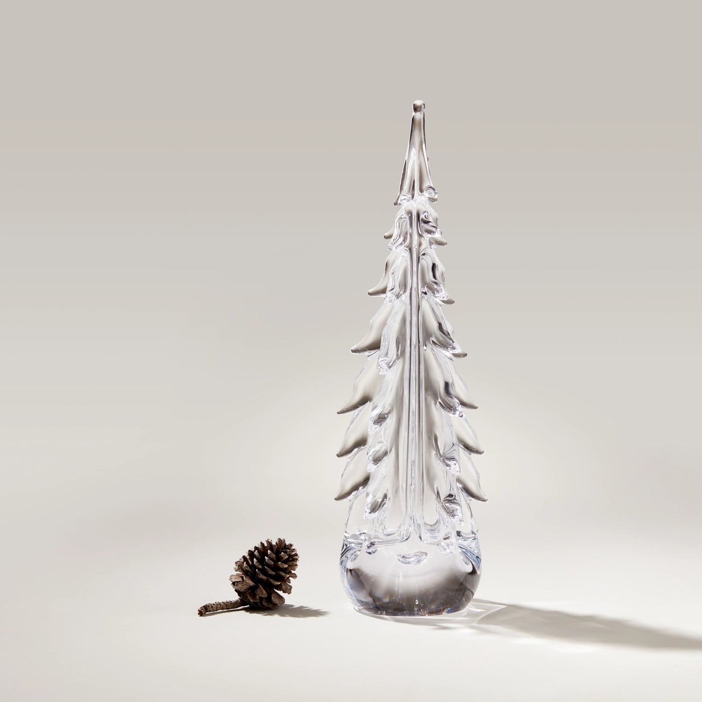 Five Sided Evergreen in Gift Box