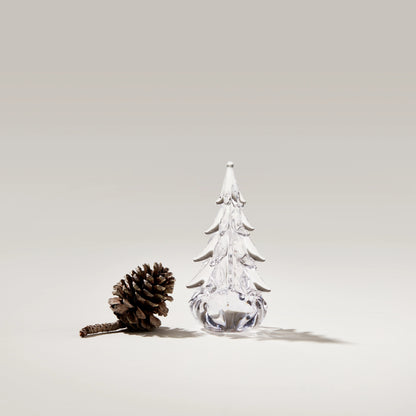 Five Sided Evergreen in Gift Box