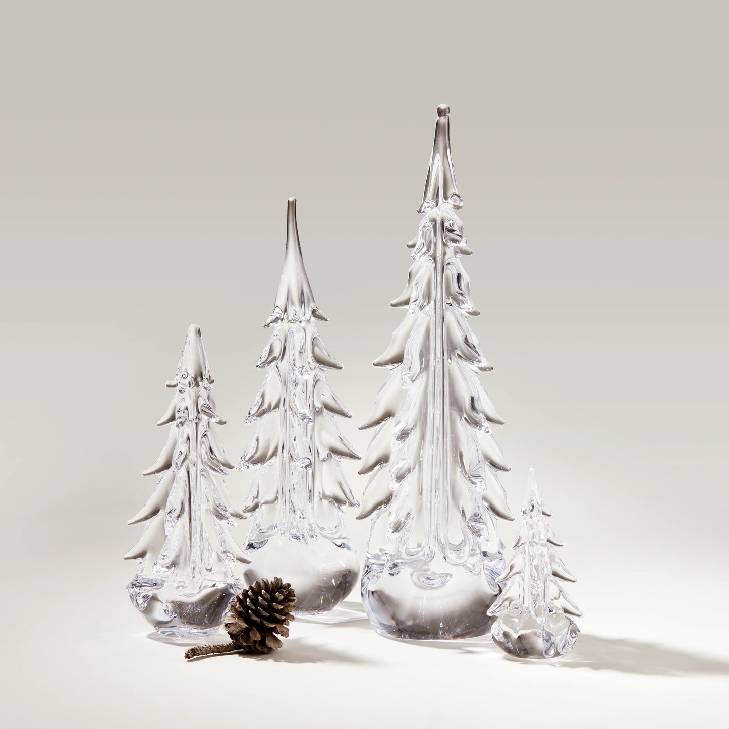 Five Sided Evergreen in Gift Box