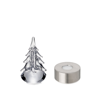Five Sided Evergreen in Gift Box