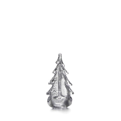 Silver Leaf Evergreen