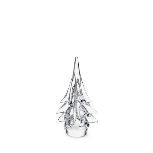 Spruce Evergreen