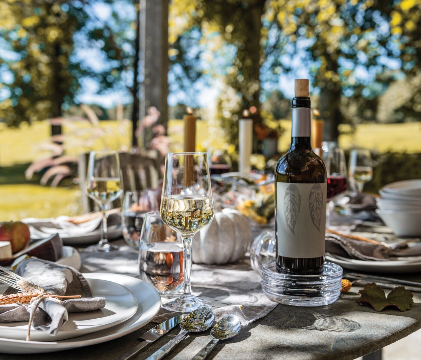 Echo Lake Wine Coaster