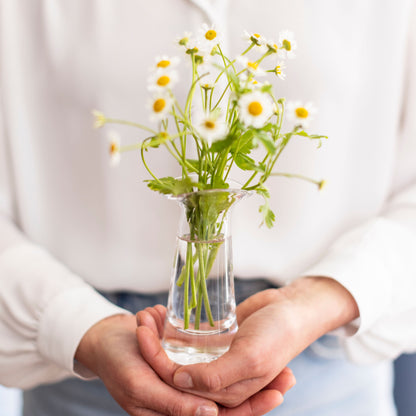 Barre Bud Vase in Gift Box