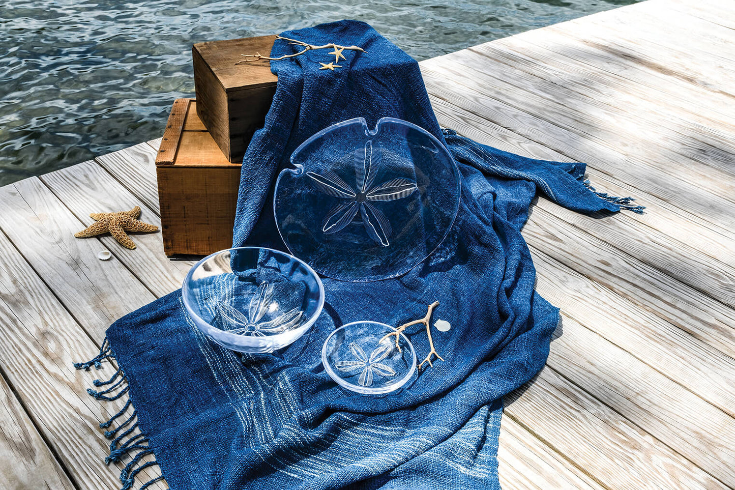 Sand Dollar Plate - M