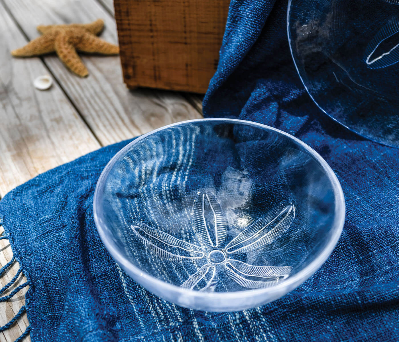 Sand Dollar Bowl - M