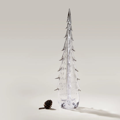 Bubble Evergreen
