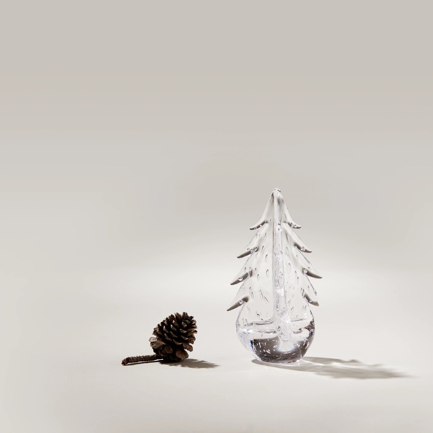 Bubble Evergreen