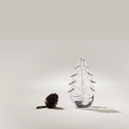 Bubble Evergreen