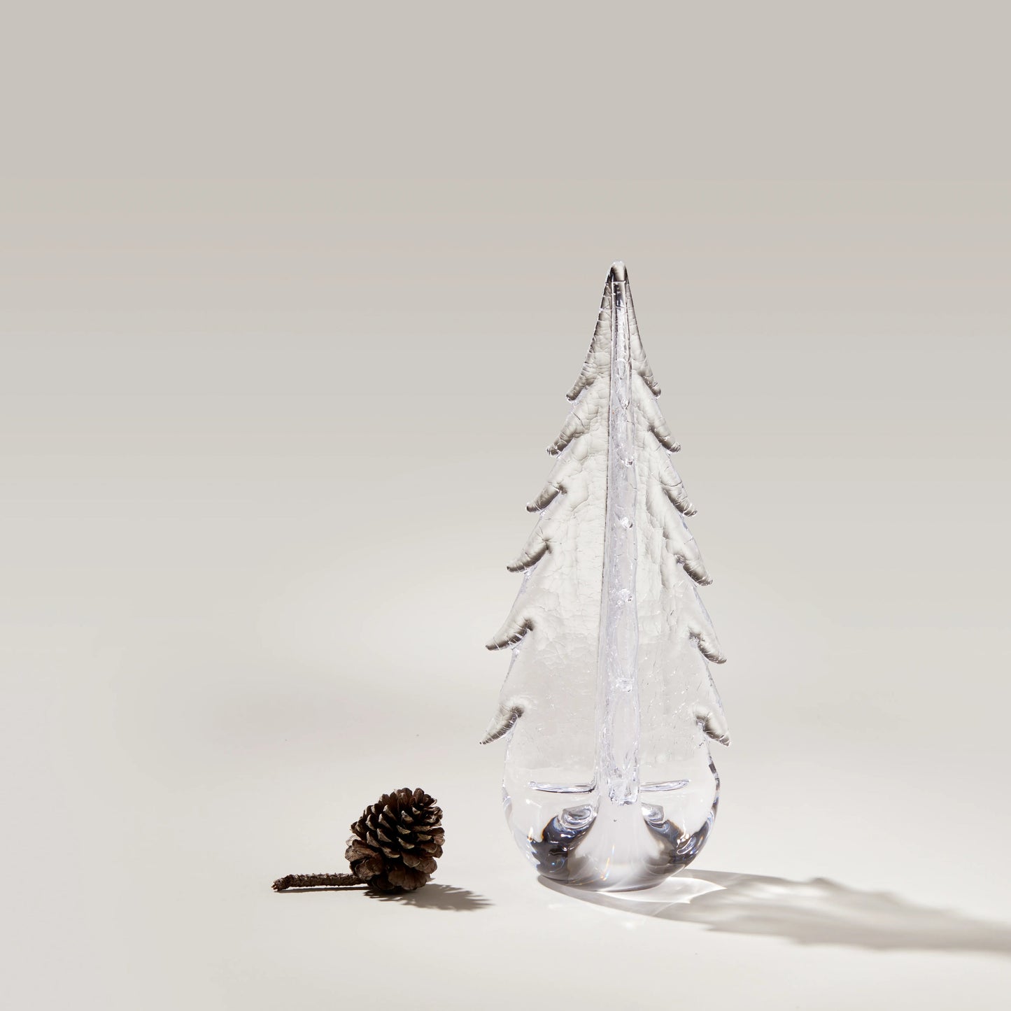 Crackle Evergreen in Gift Box