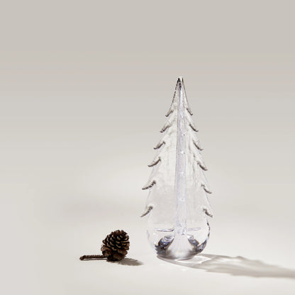 Crackle Evergreen in Gift Box