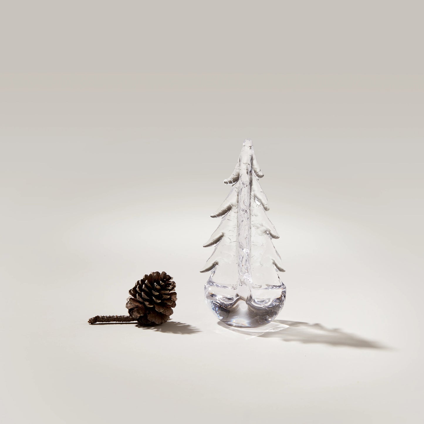 Crackle Evergreen in Gift Box