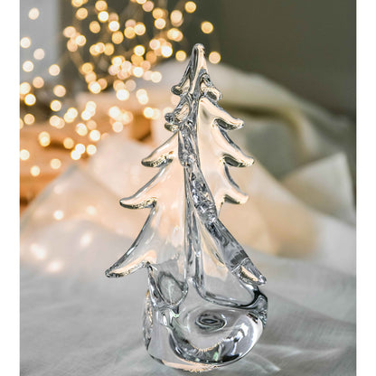 Vermont Twist Evergreen in Gift Box