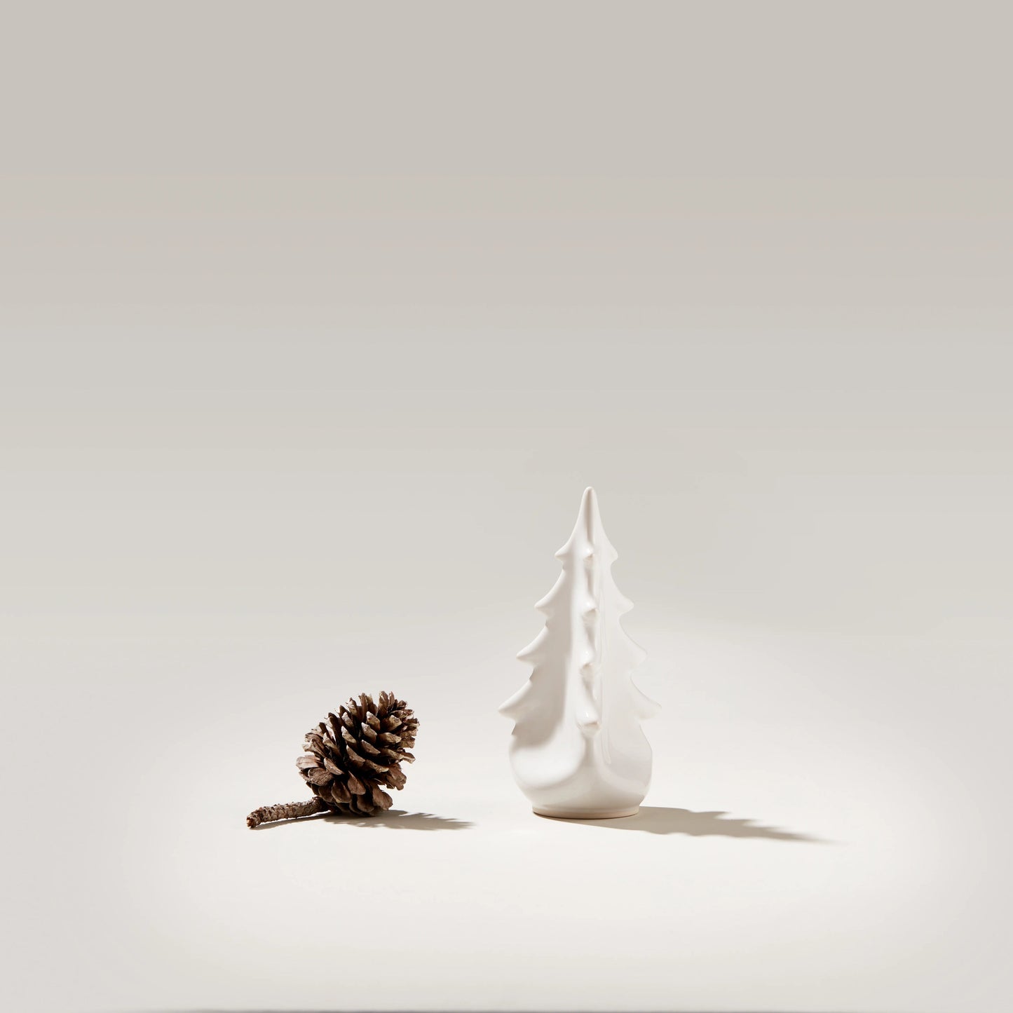 Pottery Evergreen – Dove