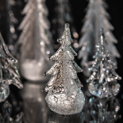 Silver Leaf Evergreen